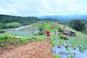 BIB: 1416
                            <button type="button" onclick="openModal(13378664)" class="btn btn-primary btn-sm float-right btn-popup" data-toggle="modal" data-target=".modal-high-quality">
                        <i class="fas fa-shopping-cart"></i> Add to Cart
                    </button>
                                            <button type="button" onclick="isThisMe(13378664, true)" class="btn btn-success btn-sm float-right btn-popup btn-isme hidden" data-toggle="tooltip" data-placement="bottom" title="นี่คือรูปของคุณใช่ไหม คลิกที่นี่เพื่อเอาเข้าอัลบั้ม">
                        <i class="fas fa-plus"></i> Add to album
                    </button>
                    <button type="button" onclick="isThisMe(13378664, false)" class="btn btn-warning btn-sm float-right btn-popup btn-isnotme hidden">
                        <i class="fas fa-ban"></i> Remove from album
                    </button>